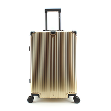 Load image into Gallery viewer, Travel Bag ( Medium Size: 60*41*23 ) 24 Inch