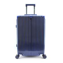 Load image into Gallery viewer, Travel Bag ( Large Size: 70*45*25 ) 28 Inch