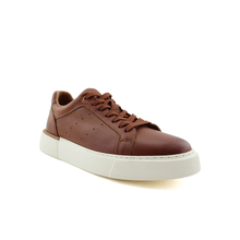 Load image into Gallery viewer, Casual &amp; Sport Shoes For Men
