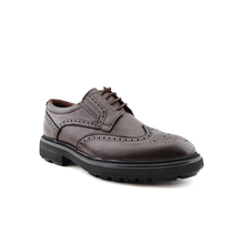 Load image into Gallery viewer, Casual &amp; Sport Shoes For Men

